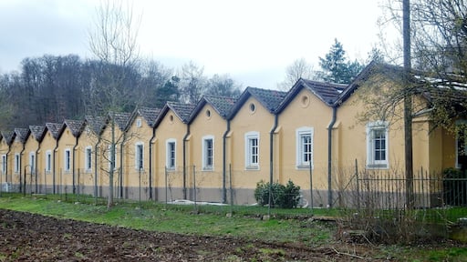 Beim 366 km langen Neckartalradweg: Nayki und Alte Weberei in Mittelstadt, Automuseum
