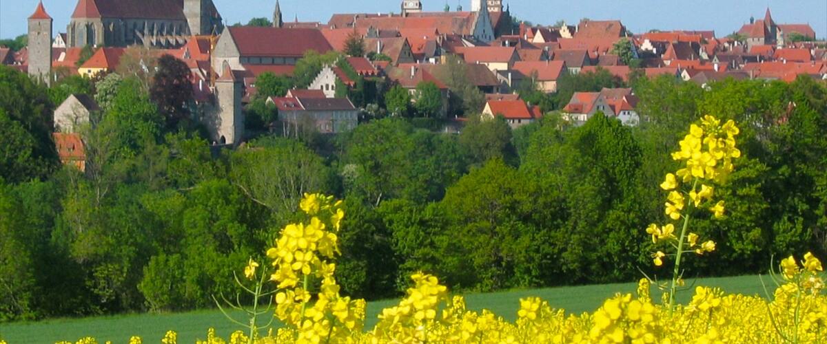 Rothenburg ob der Tauber which includes a city, a house and flowers