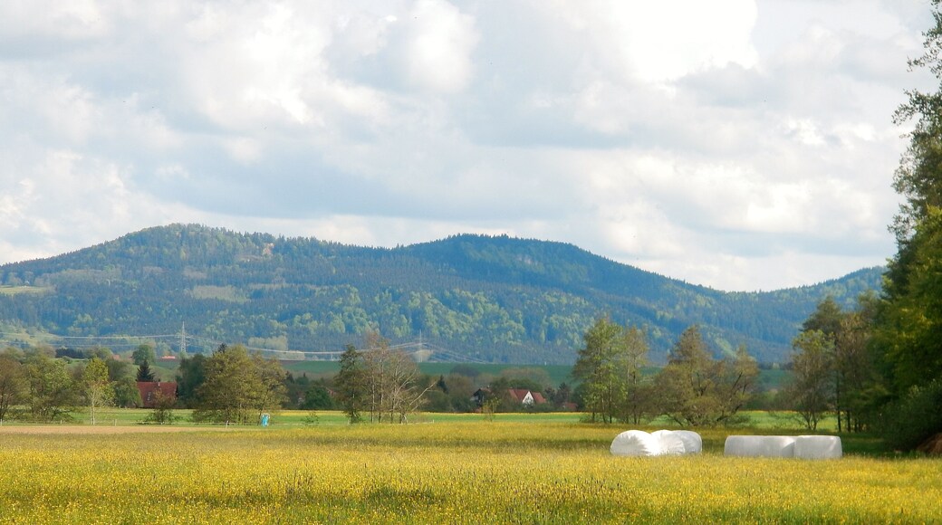 Blick vom Albvorland auf die Alb