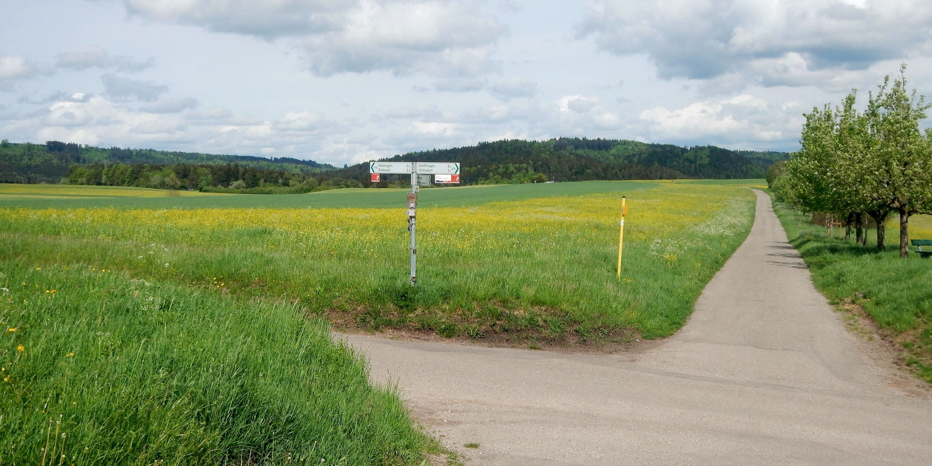 Route Burgen am oberen Neckar - Heidelberg-Schwarzwald-Bodensee-Weg