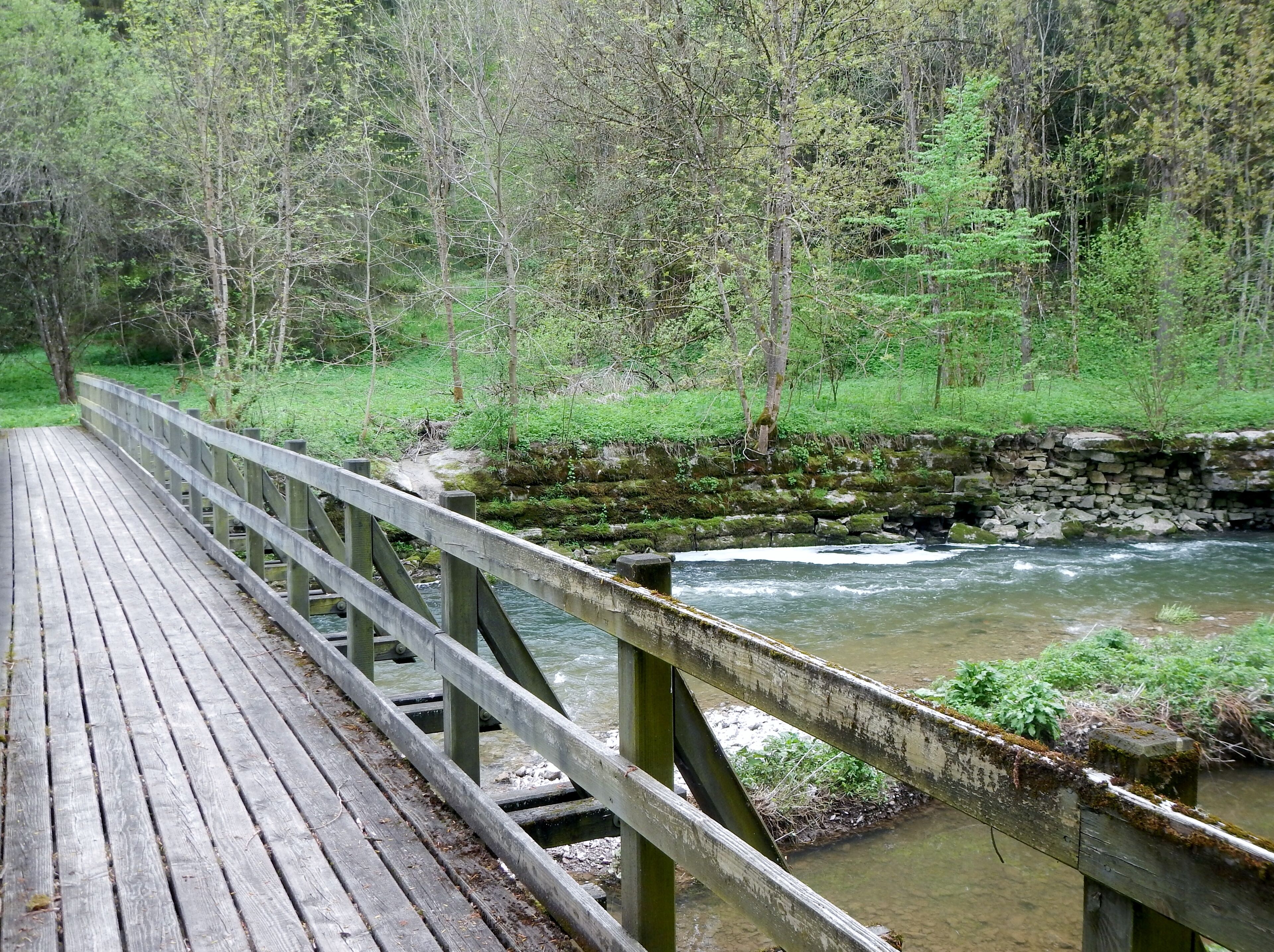 Un puente de madera sobre un río caudaloso, rodeado de un bosque frondoso.