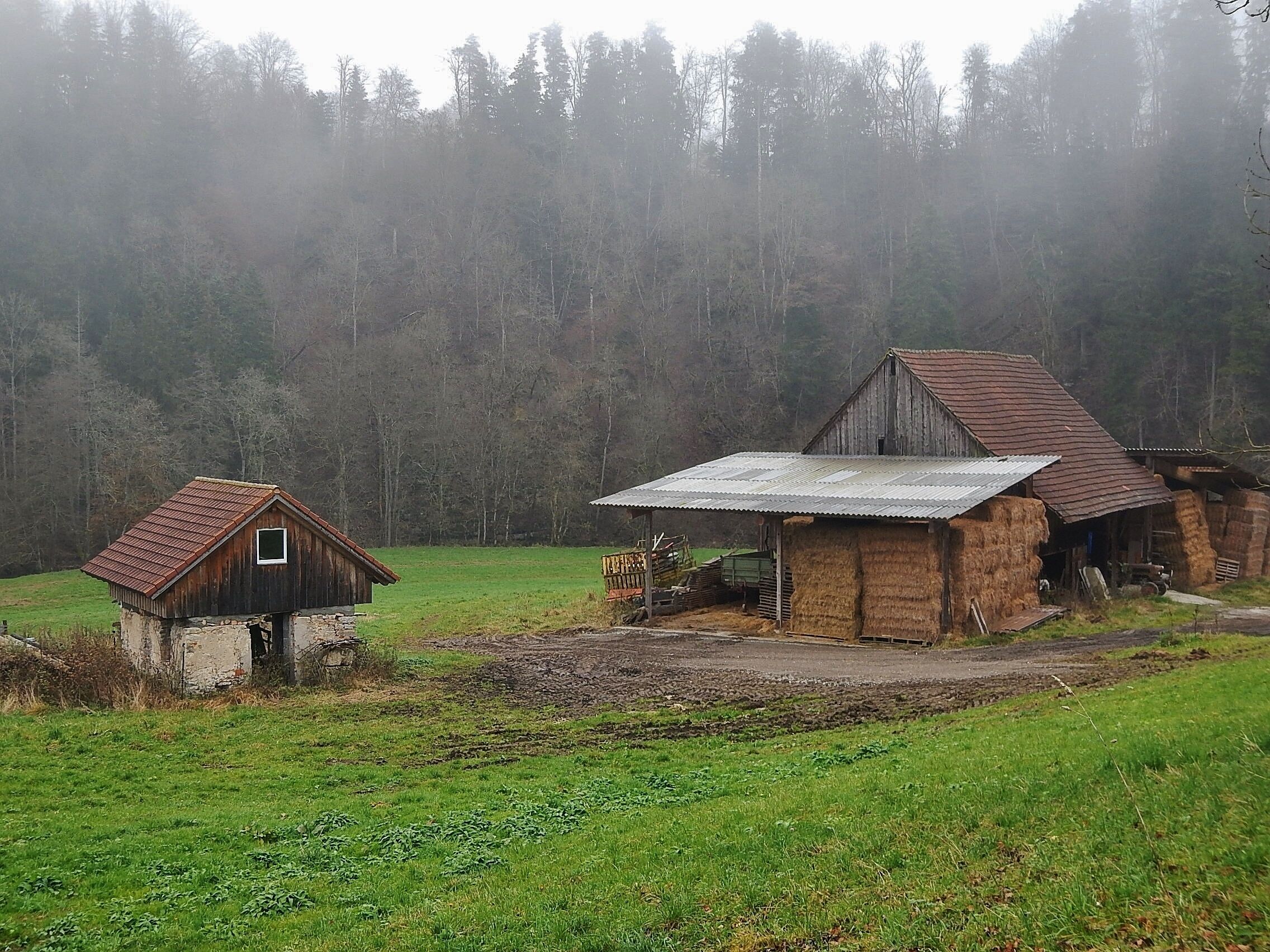 A rural landscape with a small wooden house, a larger barn, and a forest in the background.