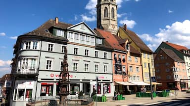 Rottweil is a town in southwest Germany in the state of Baden-Württemberg. Rottweil was a Free Imperial City for nearly 600 years.
Located between the Black Forest and the Swabian Alps. The old town is famous for its medieval center and for its traditional carnival. It is the oldest town in Baden-Württemberg and its appearance has changed very little since the 16th century.