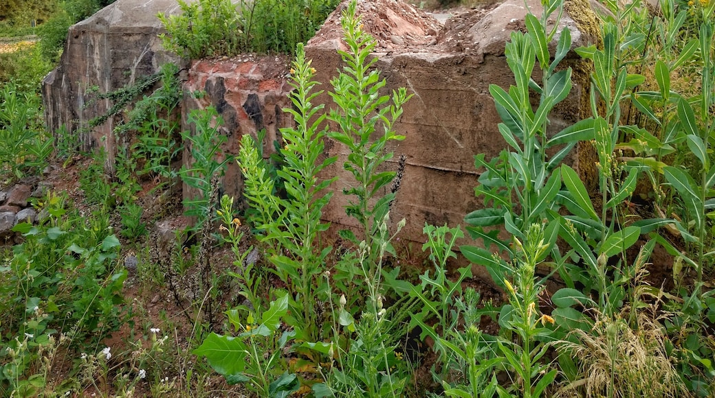Bunker nahe Hafenstraße