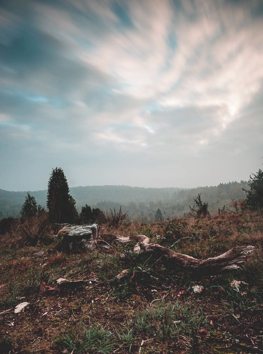 This spot calls "Totengrund" one of the iconic places in the Lüneburg Heather Nature Park. 
