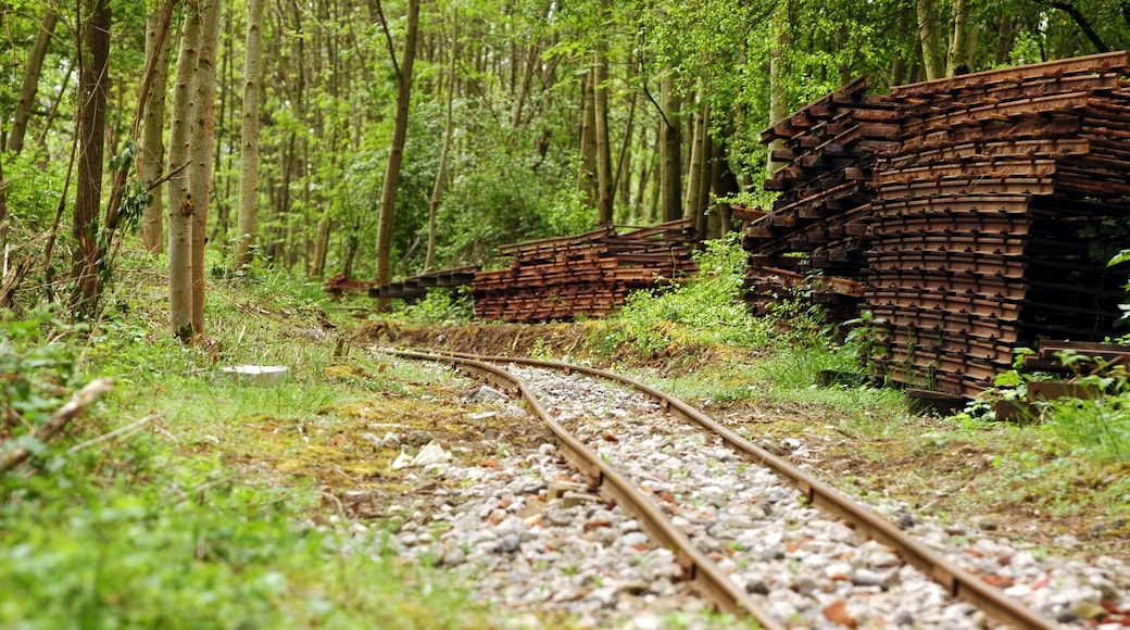 Feldbahn- & Industriemuseum Wiesloch