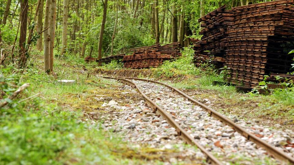 A forested area with railway tracks and wooden planks scattered around.
