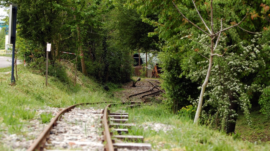 Feldbahn- & Industriemuseum Wiesloch