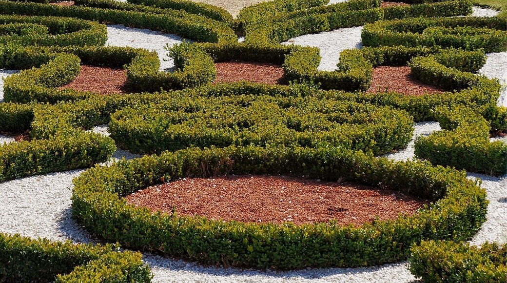Castle garden Schwetzingen