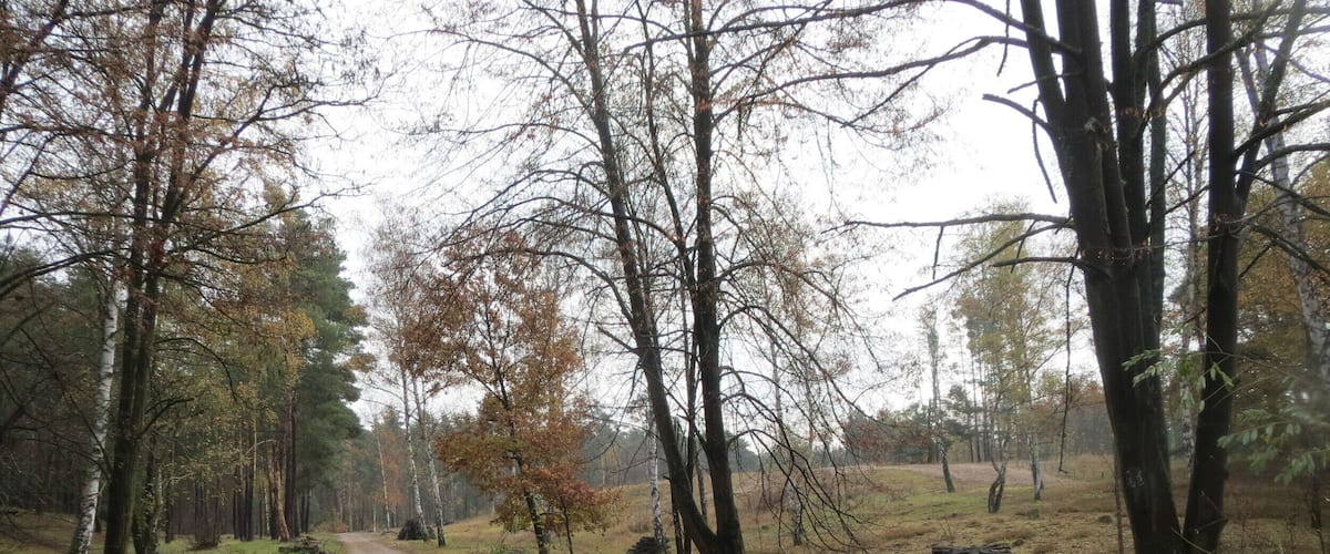 Naturschutzgebiet Hirschacker und Dossenwald