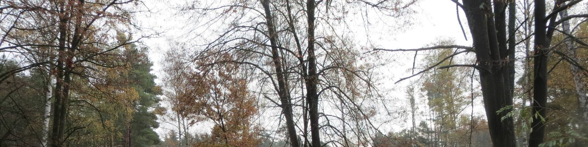Naturschutzgebiet Hirschacker und Dossenwald