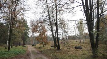 Naturschutzgebiet Hirschacker und Dossenwald