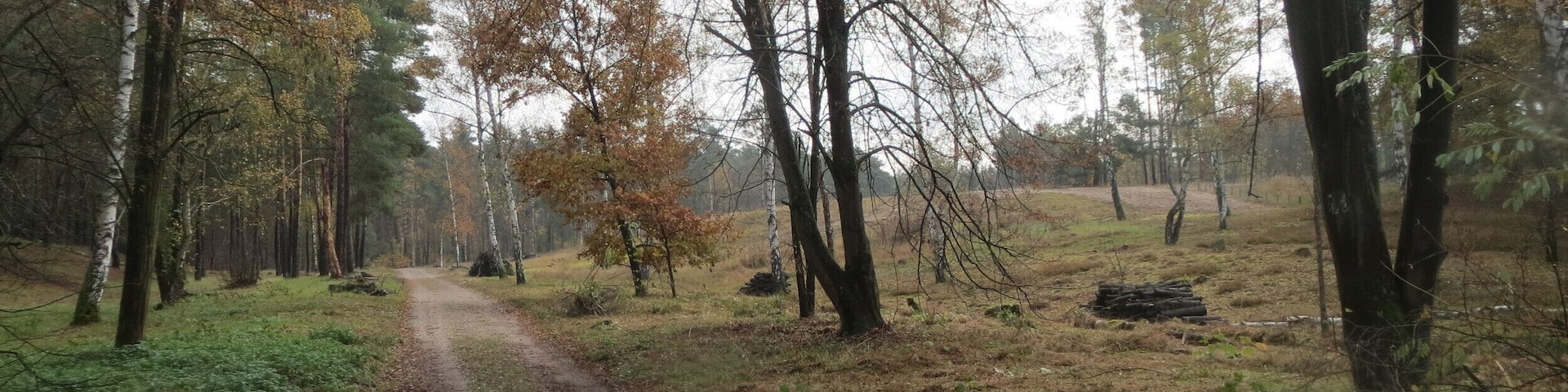 Naturschutzgebiet Hirschacker und Dossenwald