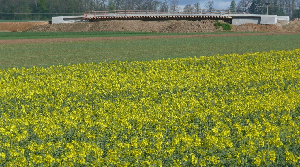 Brücke über die B464 in den Nähe von Maichingen, 2008