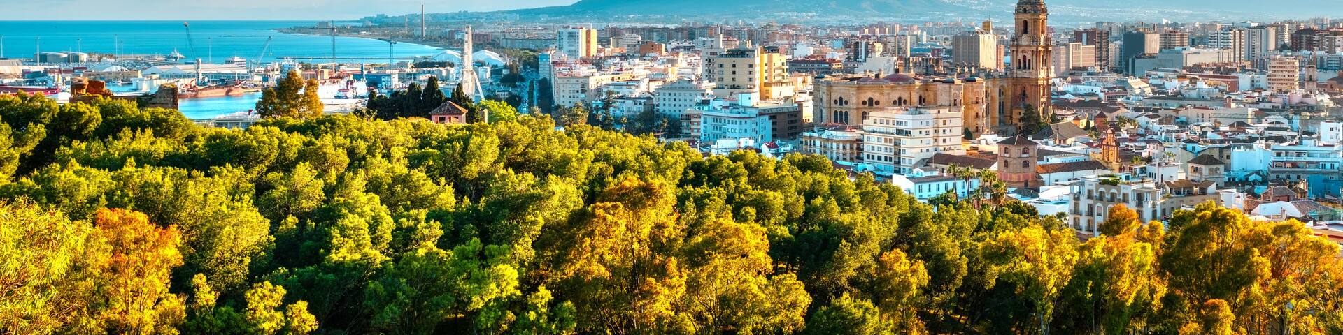 Panorama over the Malaga city and port, Spain