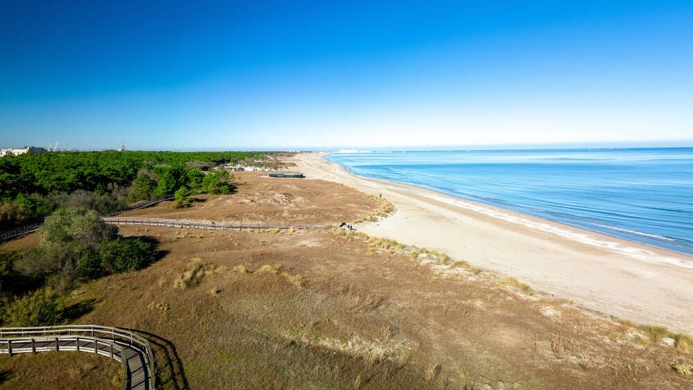 aerial view of the coast of Marina di Ravenna with natural dunes and behind the pine forest