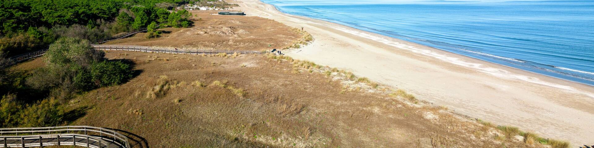 aerial view of the coast of Marina di Ravenna with natural dunes and behind the pine forest