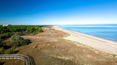 A coastal landscape with a sandy beach, a wooden boardwalk, and a clear blue sky.