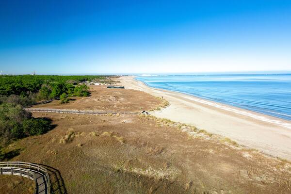 aerial view of the coast of Marina di Ravenna with natural dunes and behind the pine forest