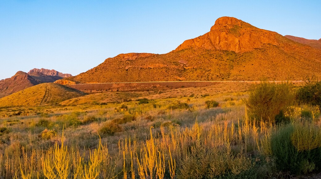 ์ ๋ผ์ด์ฆ ์์ด์ปค์ค