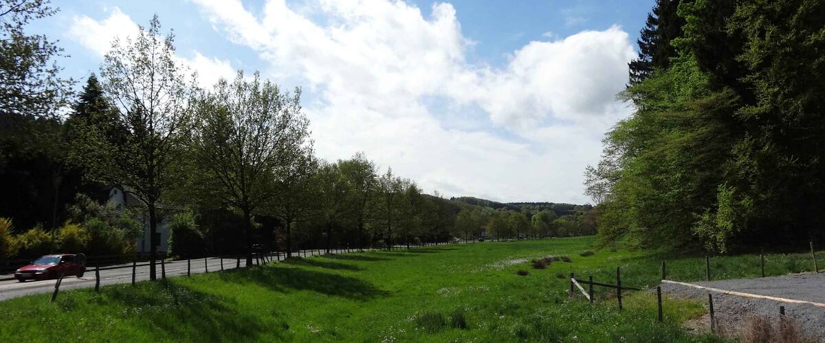 A grassy field with trees and a road.