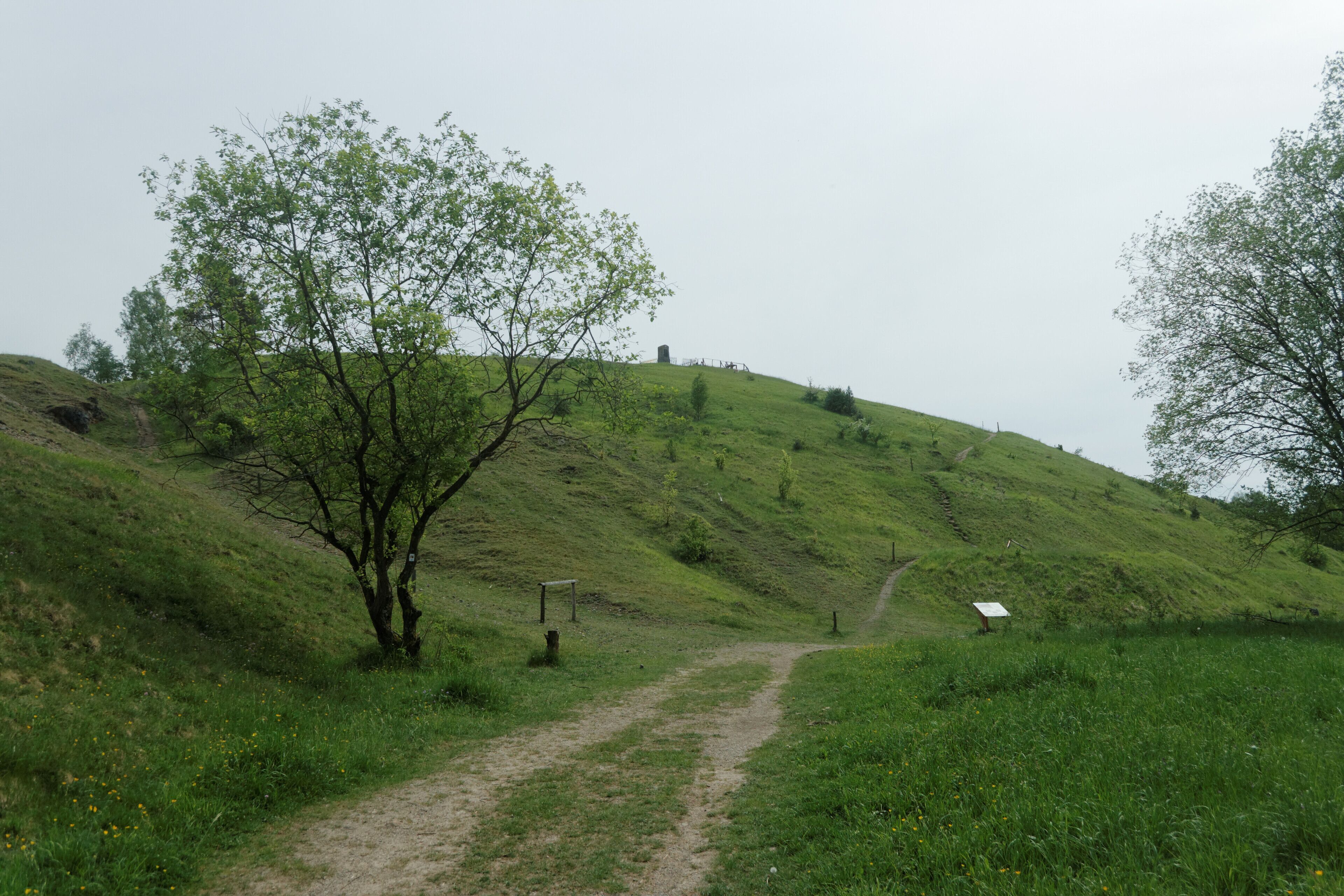Wanderweg am Schlangenberg
