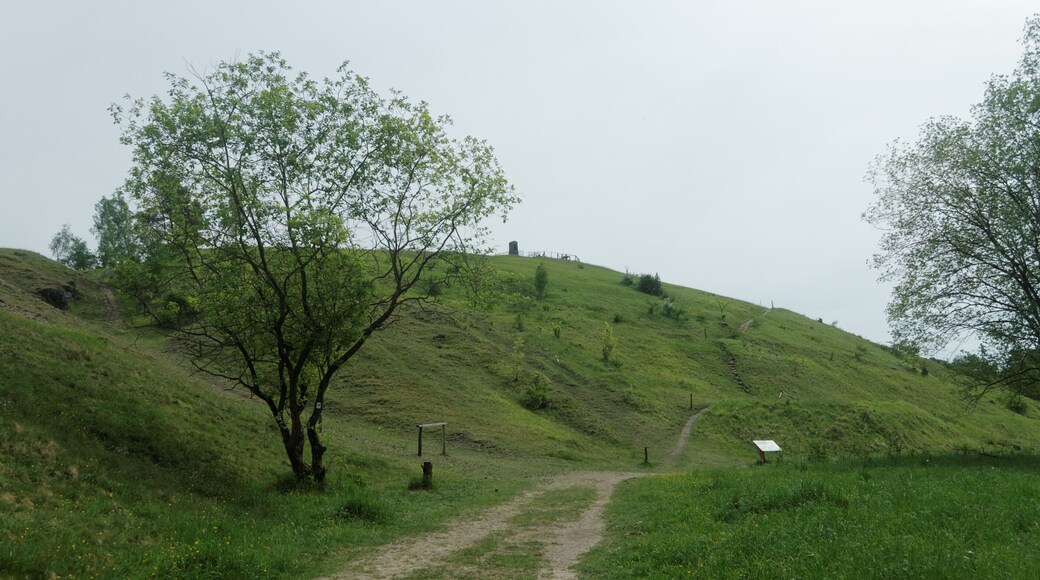 Wanderweg am Schlangenberg
