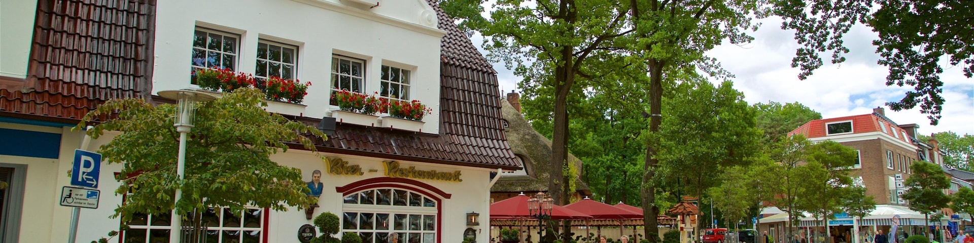 A European-style building with a white facade, red window frames, and a tiled roof. There are potted plants and a street lamp in front.