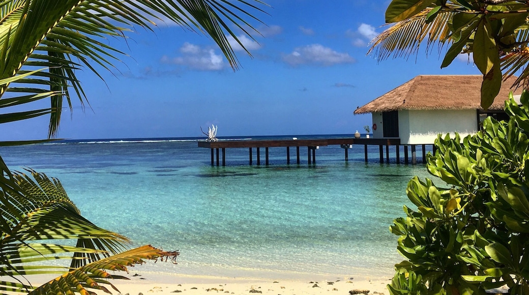 The wonderful sea and beach at residence maldives