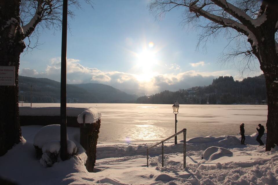 A frozen lake with snow-covered trees and a clear sky.