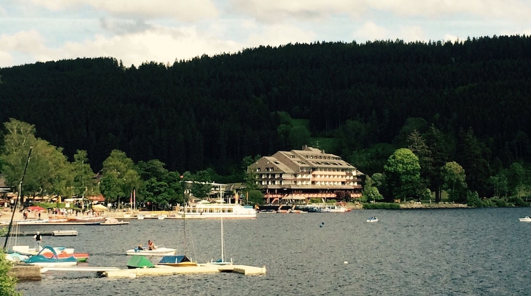Lake Titsee in the Black Forest. Beautiful area. Nice drive scenic drive once you exit A5.