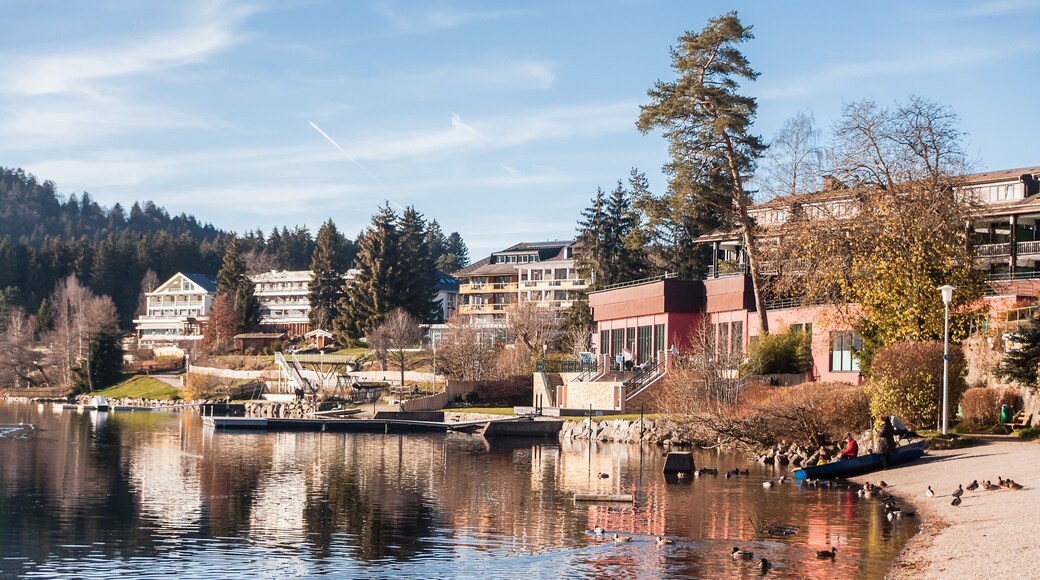 Titisee-Neustadt