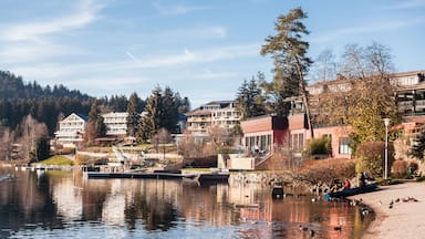 Holiday in Germany - Lake Titisee, Black Forest