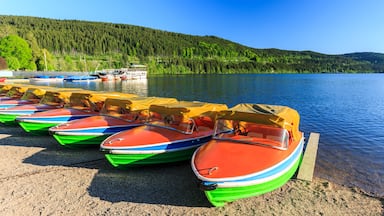 Lake Titisee Neustadt in the Black Forest. Germany., Shutterstock ID 677501887, Purchase Order: SP-1394 HA Batch 3 Part 1, Order Number: , Client/Licensee: HomeAway, Other: To be paid with HA budget