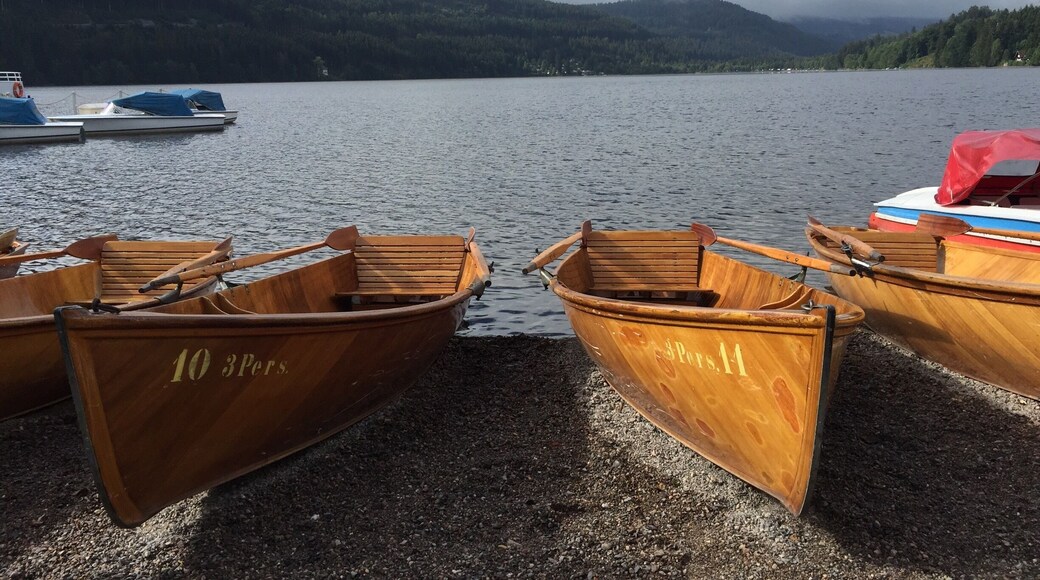 Strongly suggest you hop onto a boat here