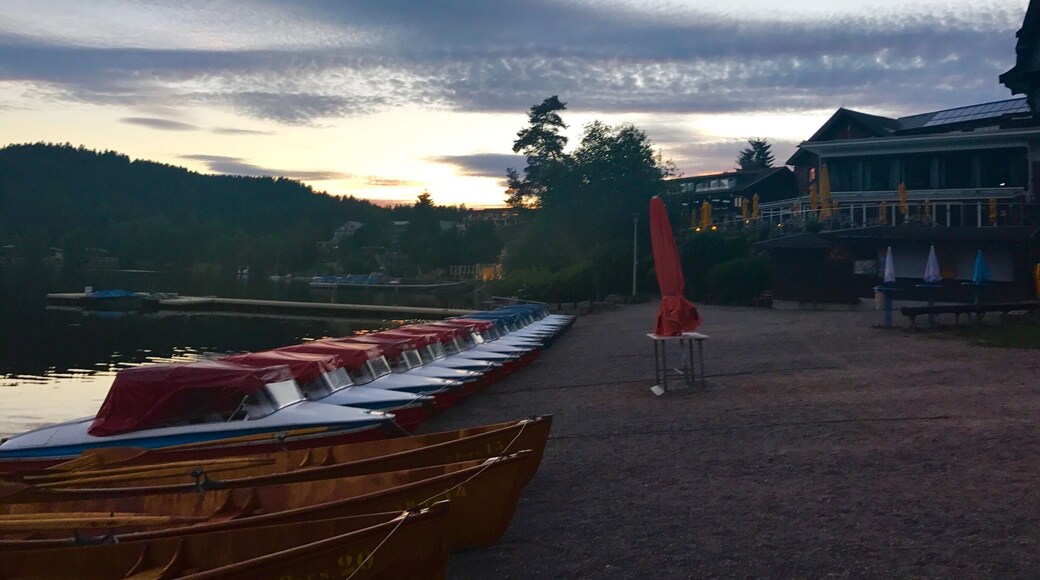 Titisee bei Sonnenuntergang
