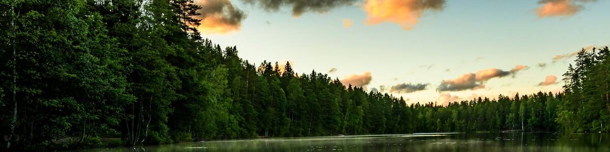 Forest and lakes