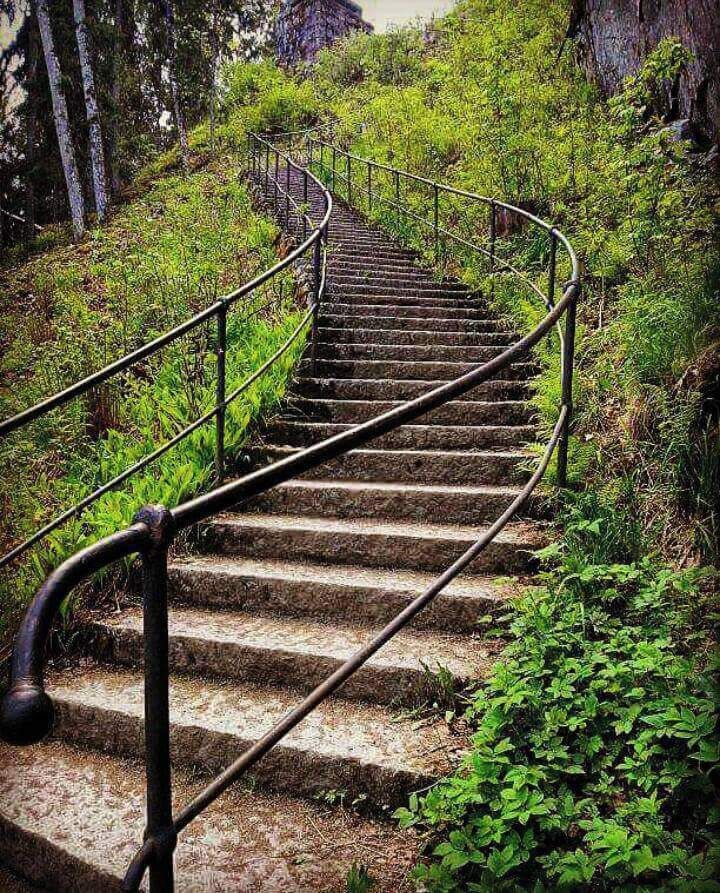 Portaat karhupatsaalle.  Aulanko. Hämeenlinna. 