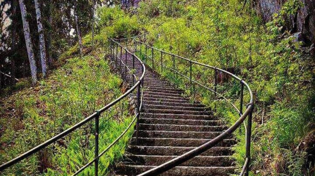 Portaat karhupatsaalle. Aulanko. Hämeenlinna.