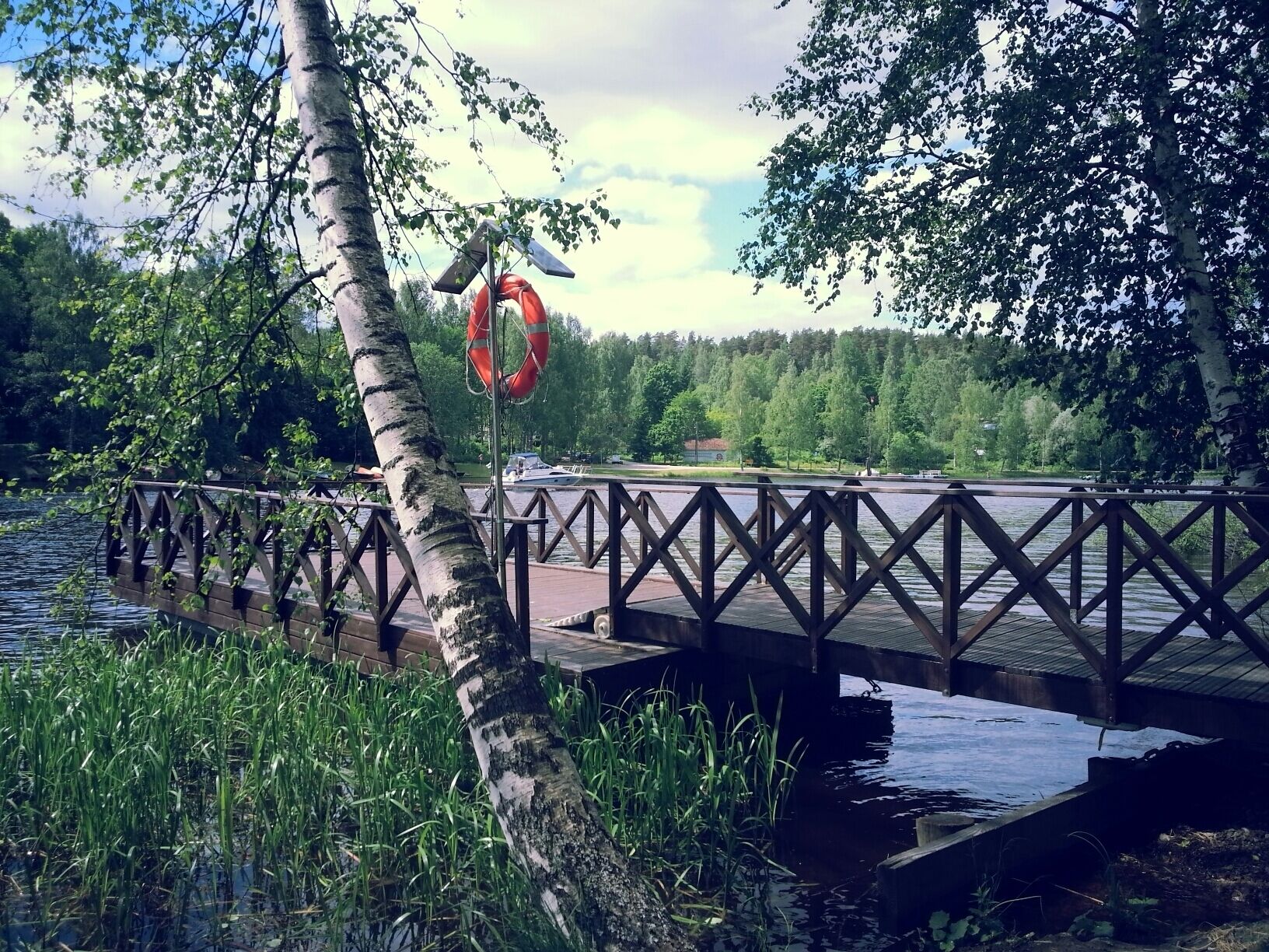 Un puente de madera sobre un lago tranquilo, rodeado de árboles y follaje.