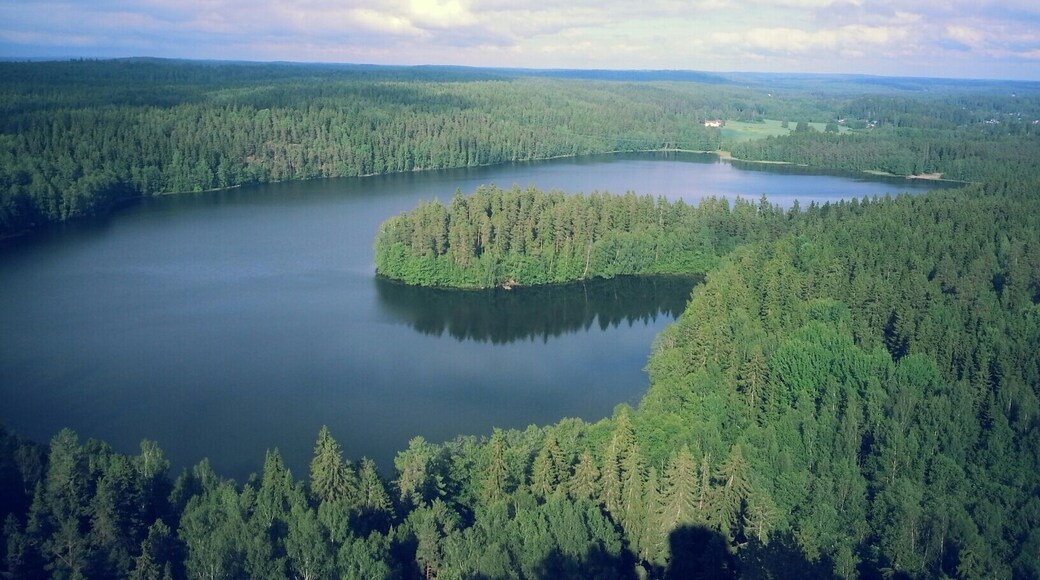 Lusikkaniemi. Aulanko Hämeenlinna