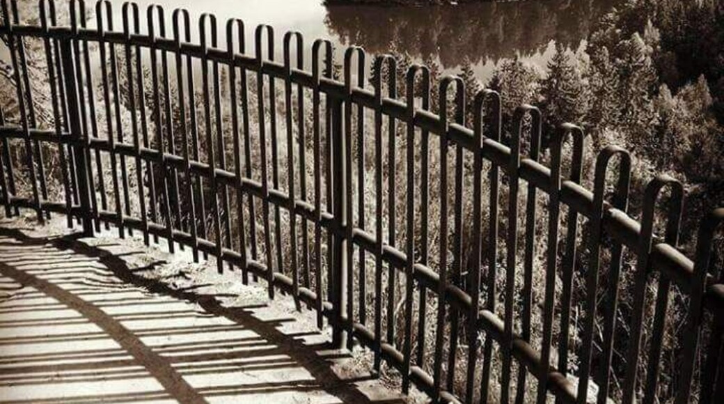 Näköalatasanne.
Aulanko. Hämeenlinna.