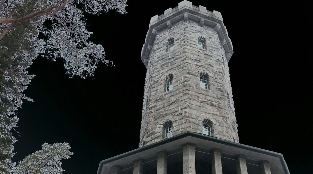 Aulangon näkötorni.