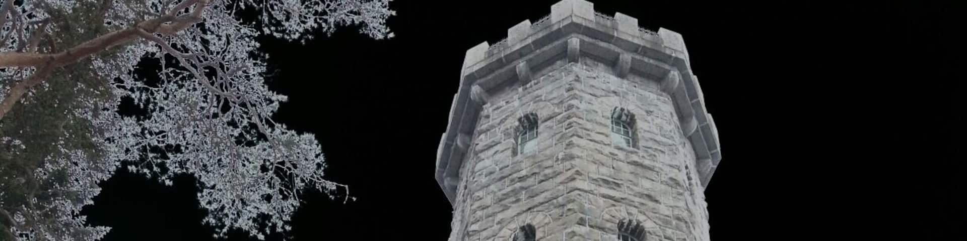 Aulangon nÀkötorni.