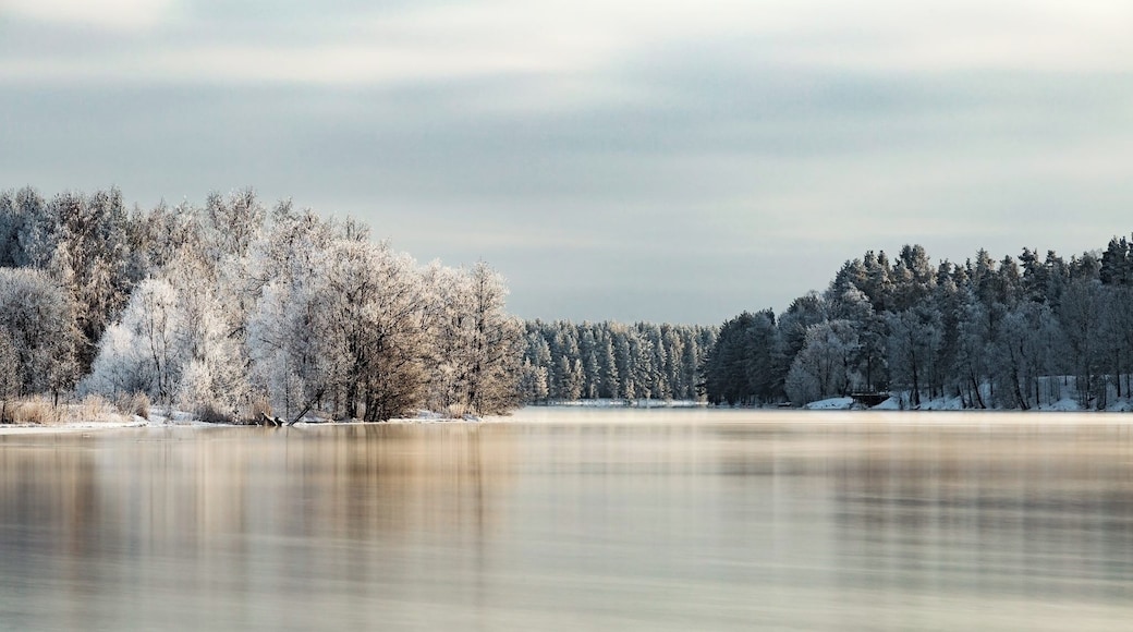 This another sunset. By calendar last day of the winter but by nature looks like in the middle of January :)