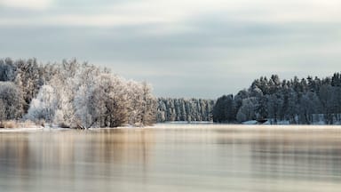 This another sunset. By calendar last day of the winter but by nature looks like in the middle of January :)