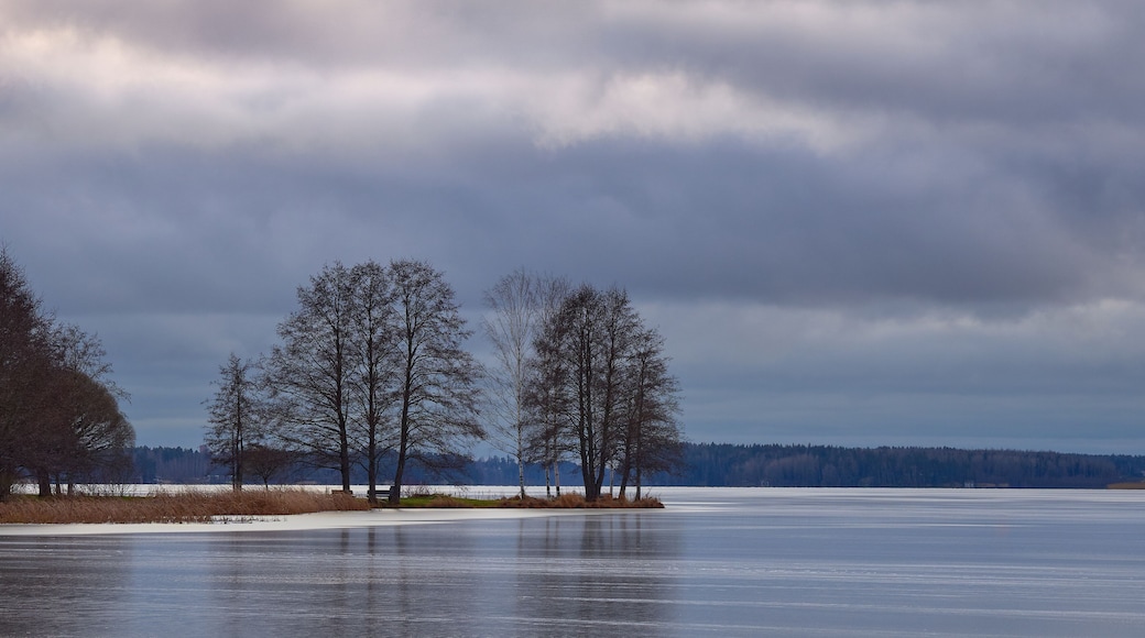 The first ice on Lake Tuusula in December in Jarvenpaa: Rantapuisto.