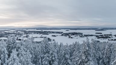 A snowy landscape with dense forests and a lake.
