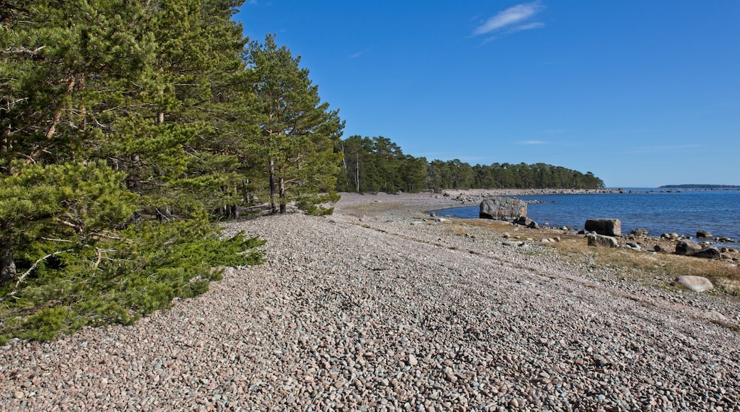 A pebbly beach with dense pine trees and a calm body of water.