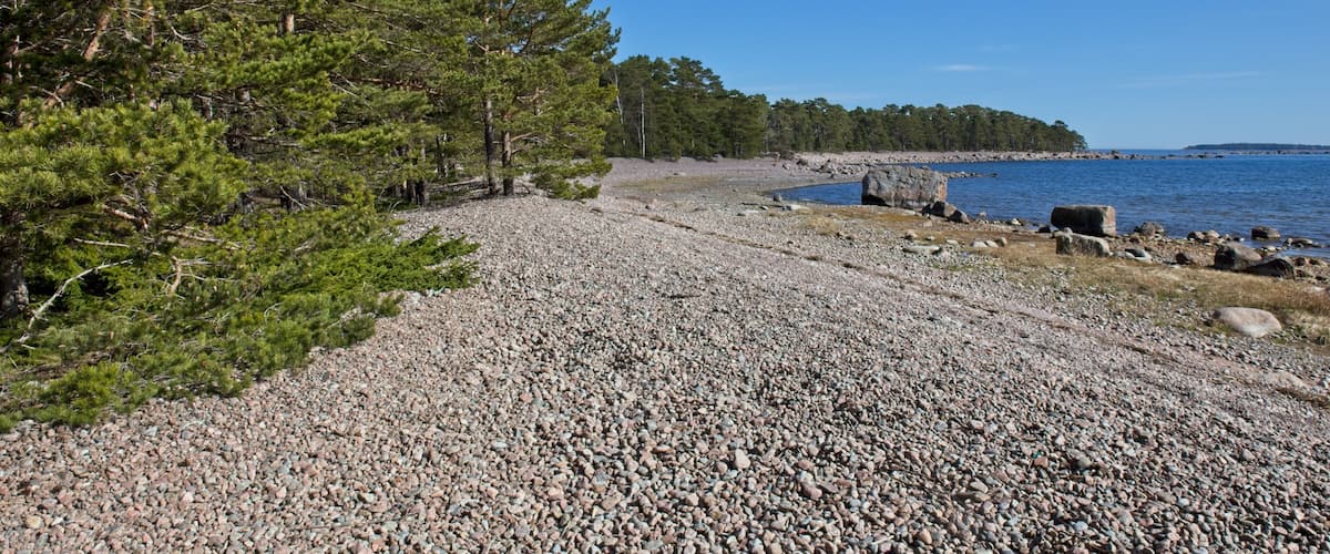 A pebbly beach with dense pine trees and a calm body of water.